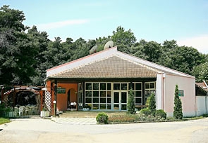 Forest fairy Youth Camp in Albena