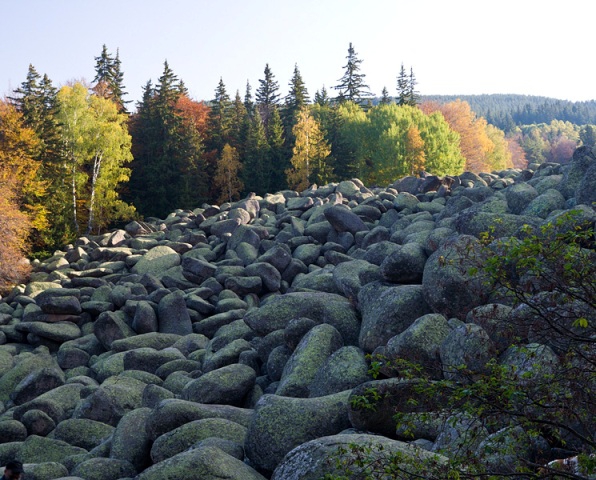 Mountain Picnic