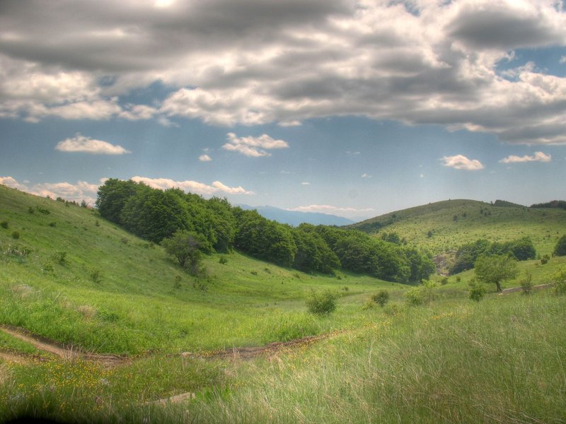 Mountain Picnic