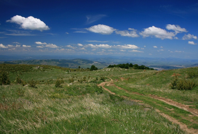 Mountain Picnic