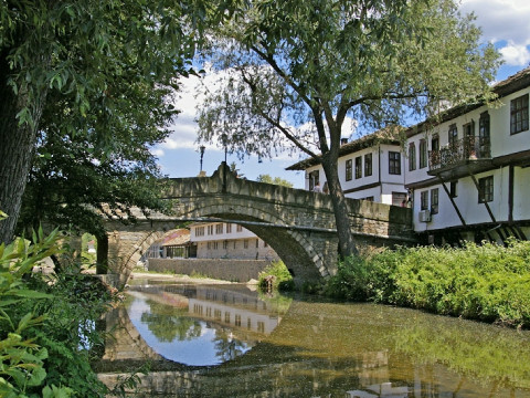 Tryavna