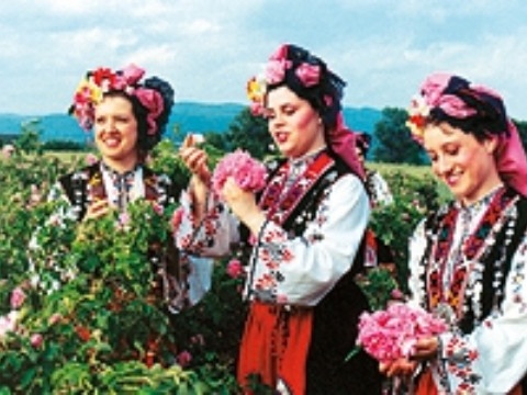 Bulgaria: Rose picking in the Valley of roses - program 1