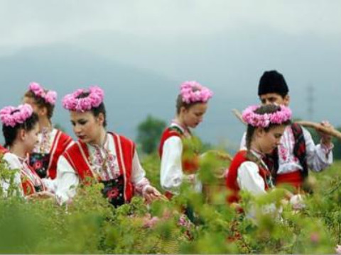 Bulgaria: Rose picking in the Valley of roses - program 2